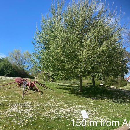 Agora De Panne Lägenhet Exteriör bild